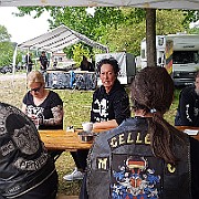 Celler MC (1)